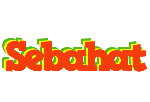 Sebahat bbq logo