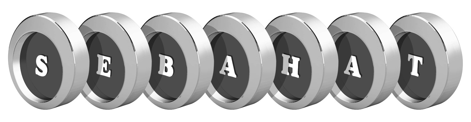 Sebahat coins logo