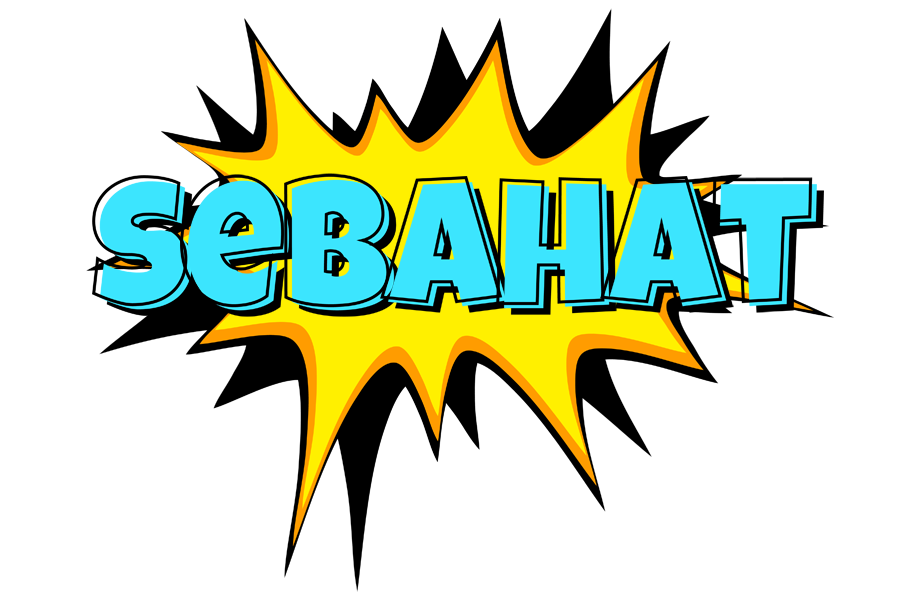Sebahat indycar logo