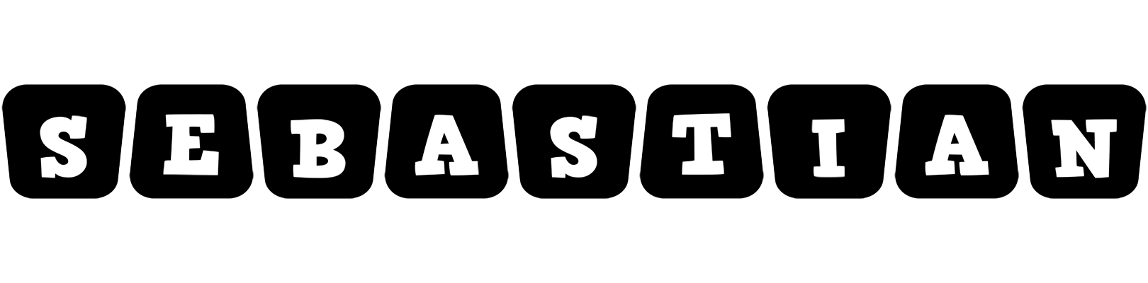 Sebastian racing logo