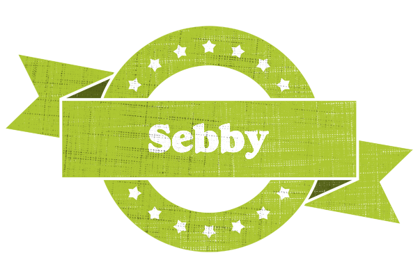 Sebby change logo