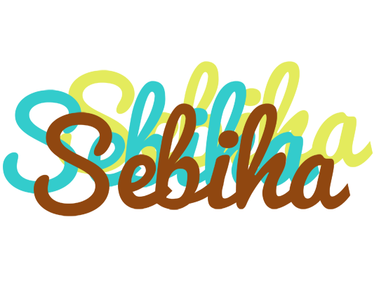Sebiha cupcake logo