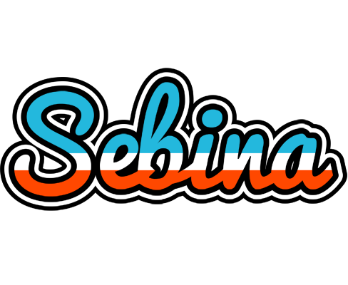 Sebina america logo