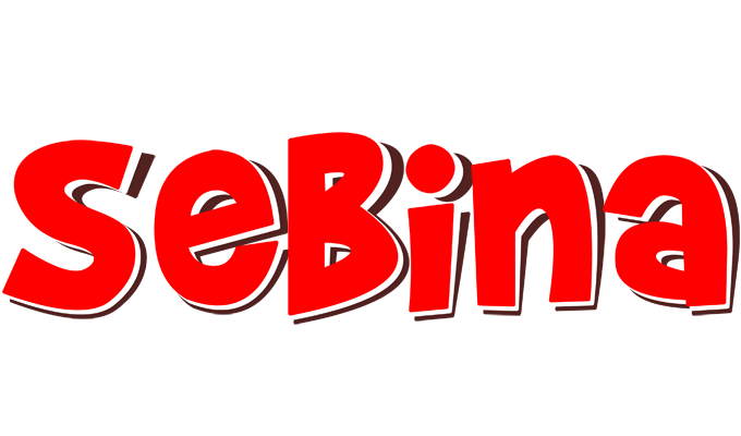 Sebina basket logo