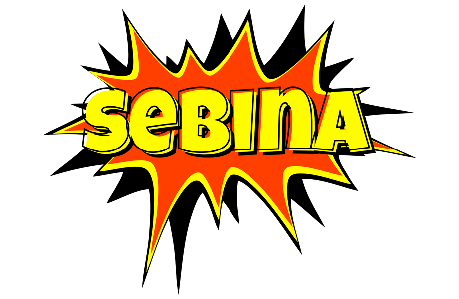 Sebina bazinga logo