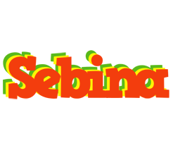 Sebina bbq logo