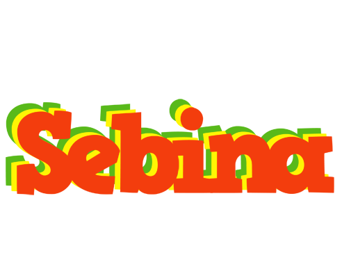 Sebina bbq logo