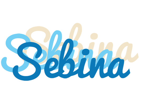 Sebina breeze logo