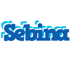 Sebina business logo