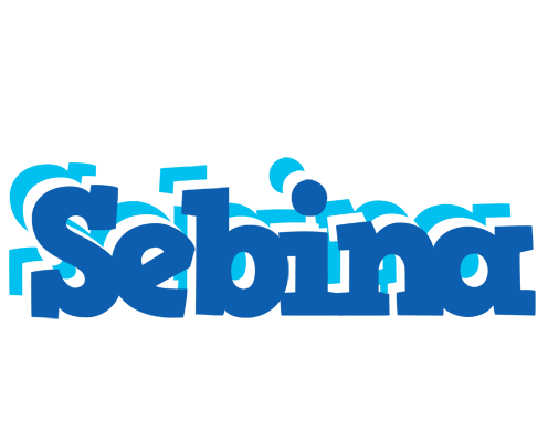Sebina business logo