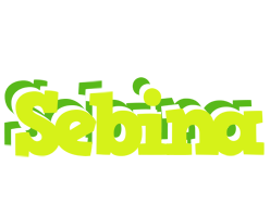 Sebina citrus logo