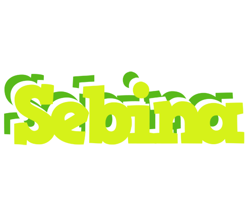 Sebina citrus logo