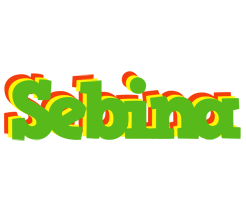 Sebina crocodile logo