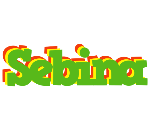 Sebina crocodile logo