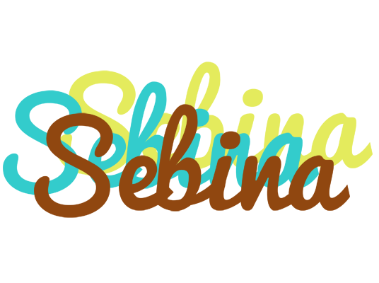 Sebina cupcake logo