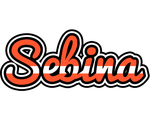 Sebina denmark logo