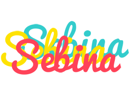 Sebina disco logo