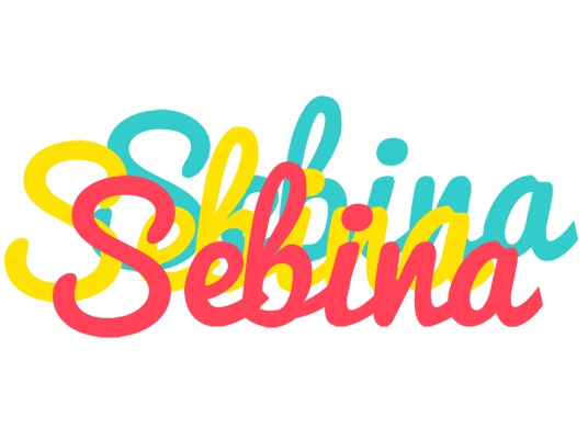 Sebina disco logo
