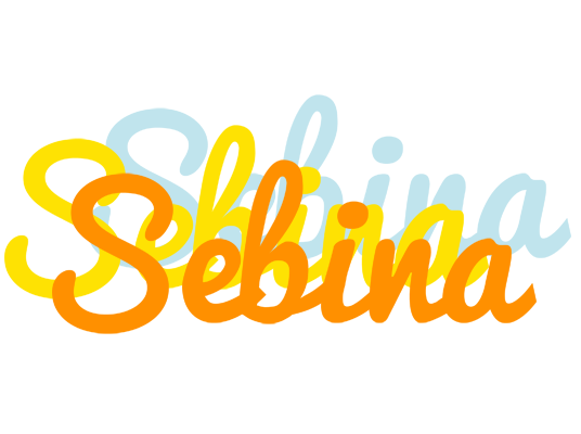 Sebina energy logo