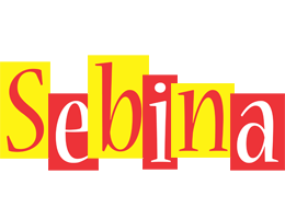 Sebina errors logo