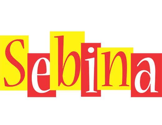 Sebina errors logo