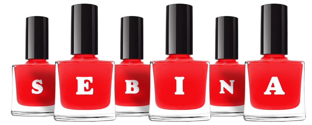 Sebina fashion logo
