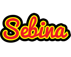 Sebina fireman logo