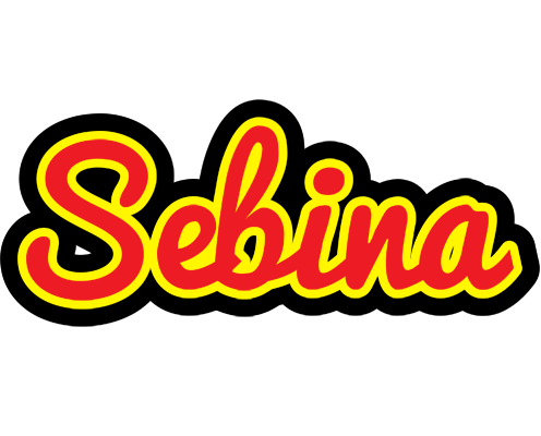 Sebina fireman logo