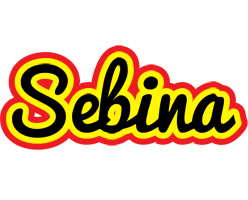 Sebina flaming logo