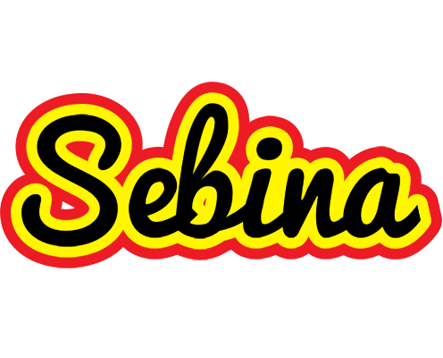 Sebina flaming logo