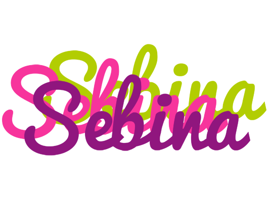 Sebina flowers logo