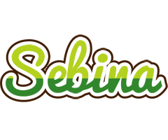 Sebina golfing logo