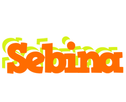 Sebina healthy logo