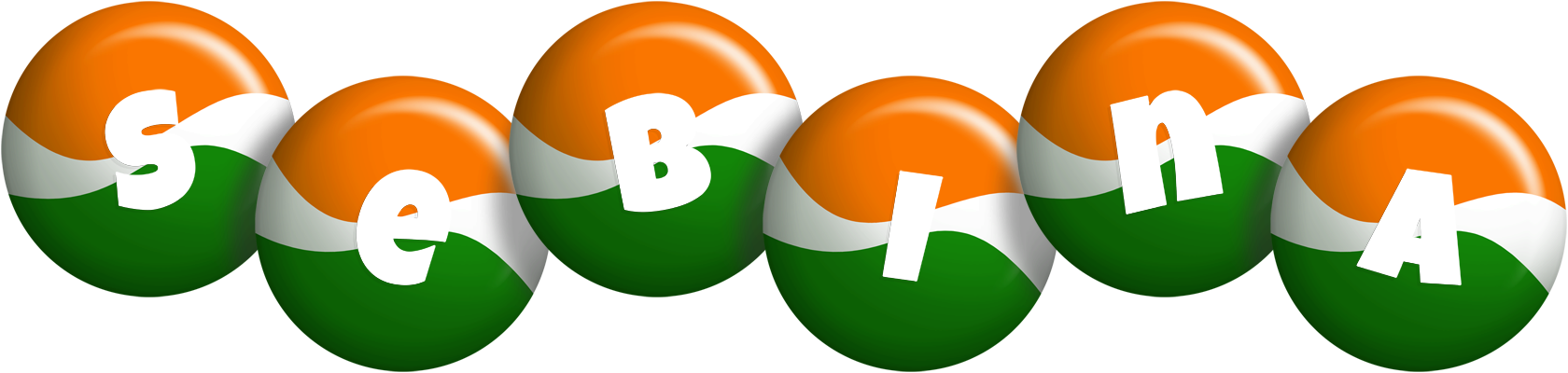 Sebina india logo