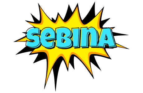 Sebina indycar logo
