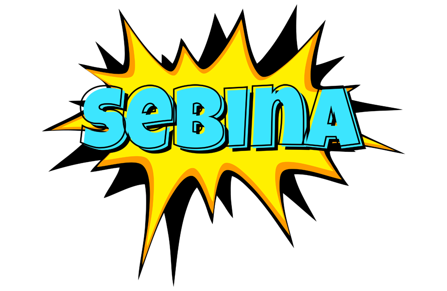 Sebina indycar logo