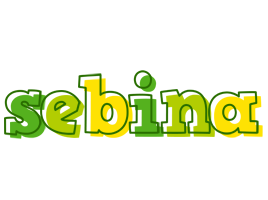 Sebina juice logo