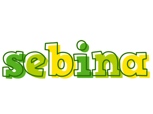 Sebina juice logo