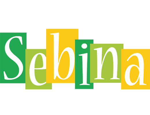 Sebina lemonade logo