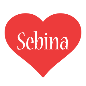 Sebina love logo