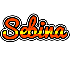 Sebina madrid logo