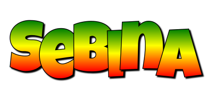 Sebina mango logo