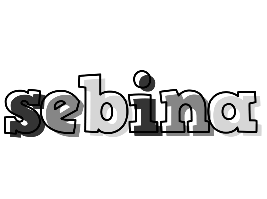 Sebina night logo