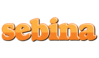 Sebina orange logo