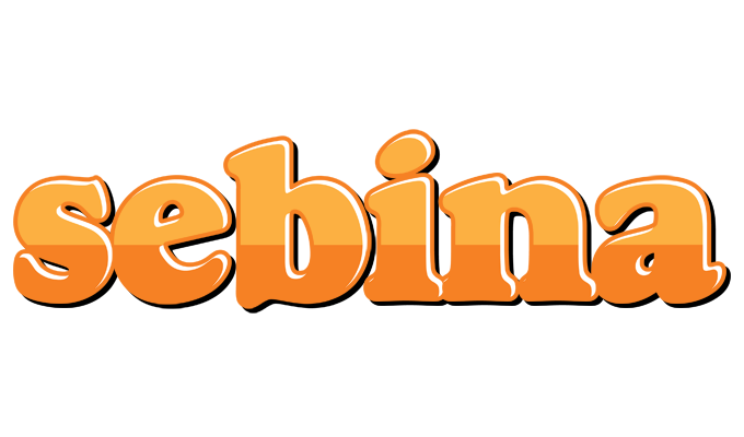 Sebina orange logo