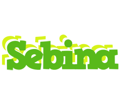 Sebina picnic logo