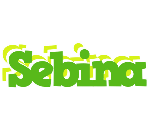 Sebina picnic logo