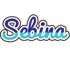 Sebina raining logo