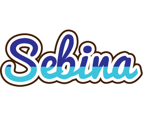 Sebina raining logo
