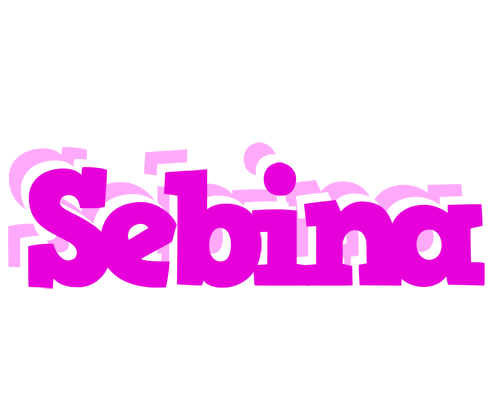 Sebina rumba logo